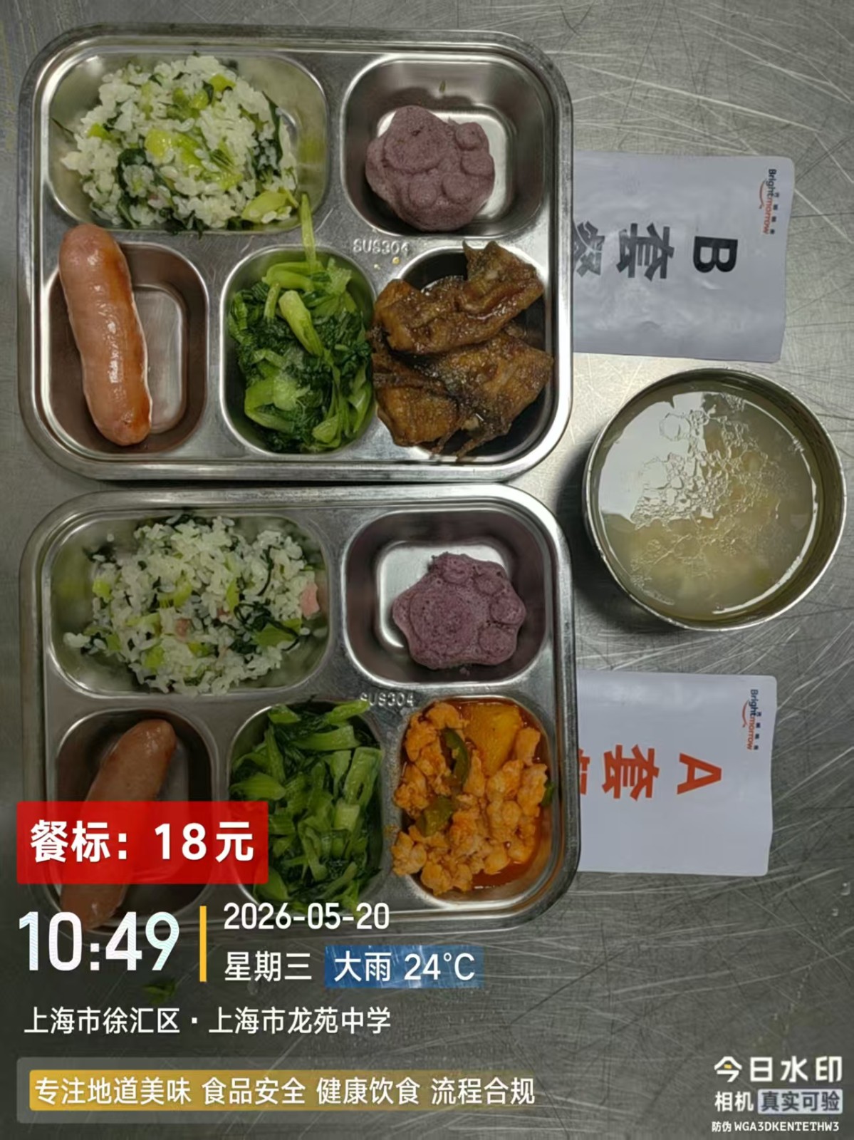 520.jpg